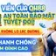 Biểu tượng lá chắn an toàn