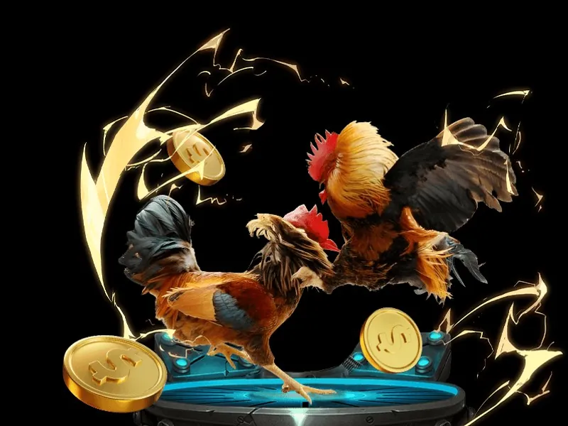 Kết luận về Đá Gà 88